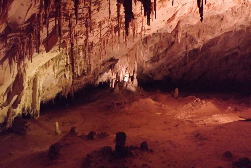 Carlsbad Caverns national park